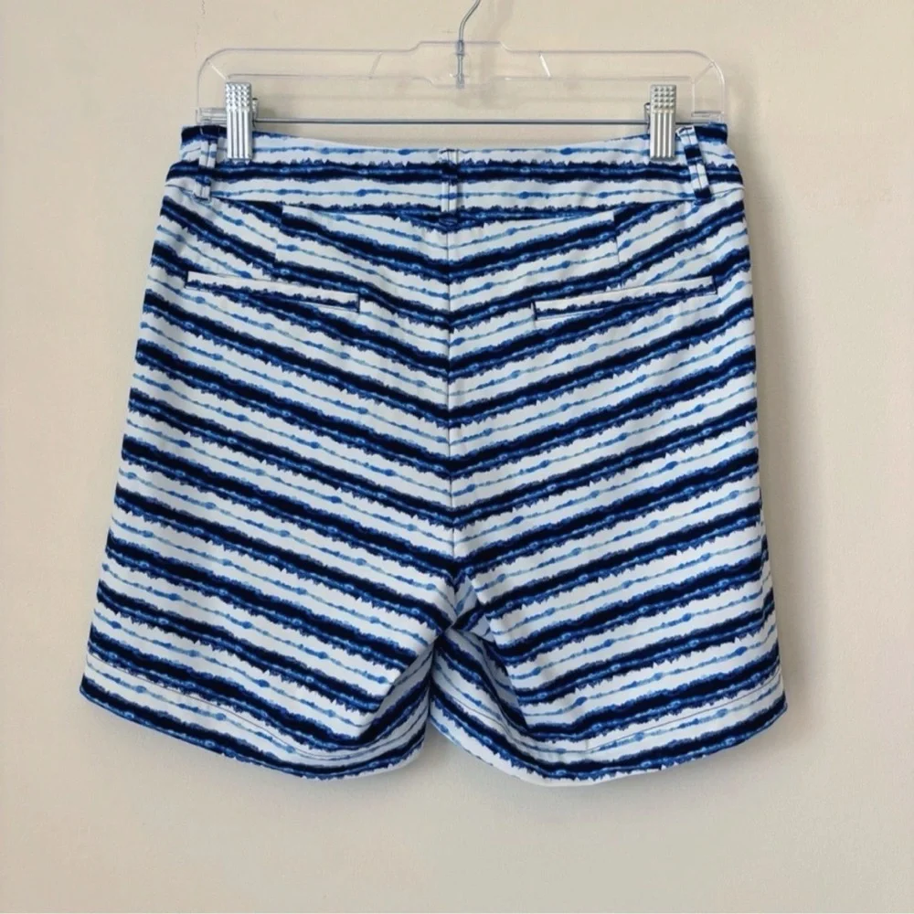 Spanx Blue Striped Sunshine Swim Shorts Small - Picture 4 of 6
